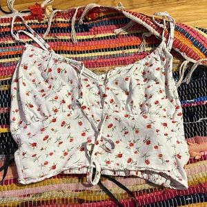 Red roses cute for spring